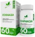 Echinacea